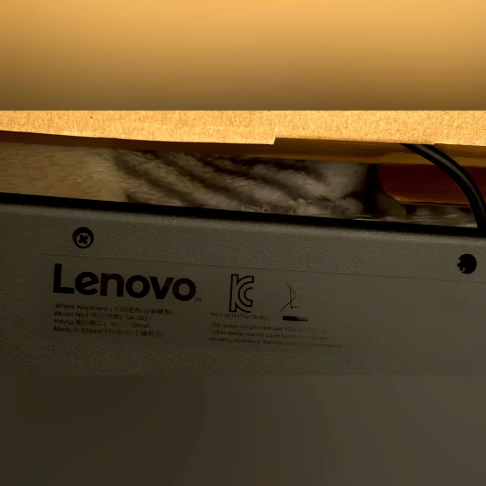 Lenovo this traditional